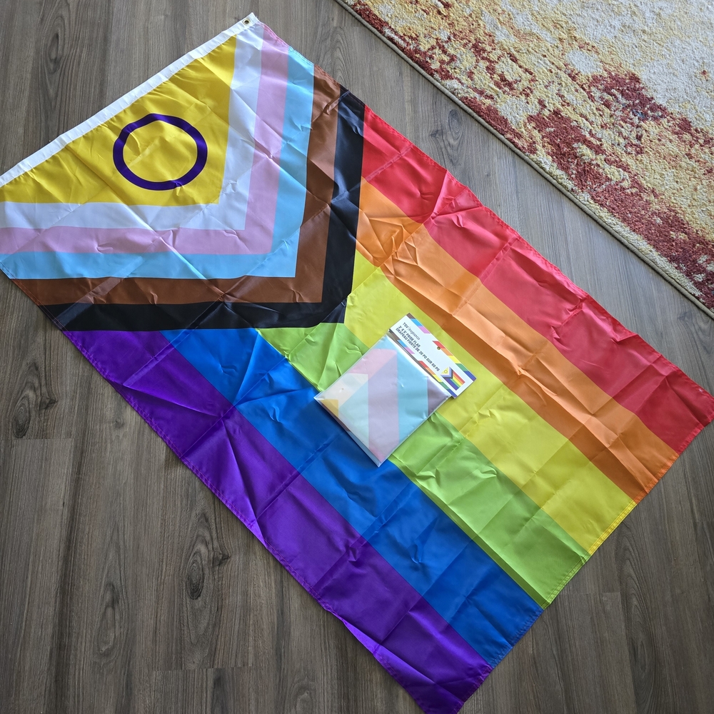 Large Pride Flag